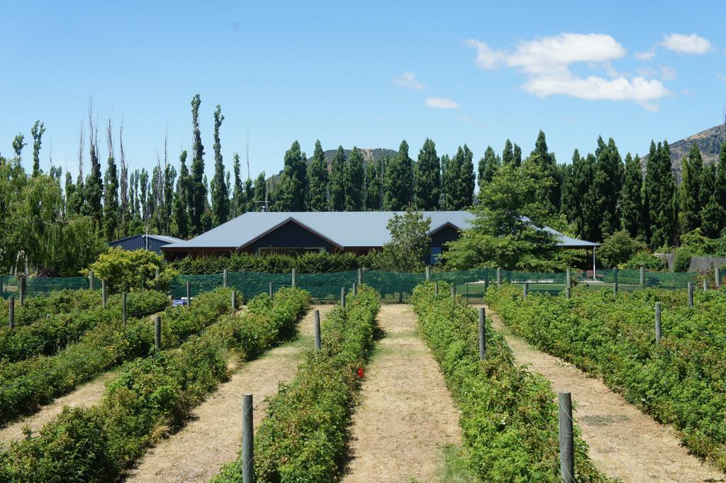 Wanaka Berry Farm And B&B Dış mekan fotoğraf