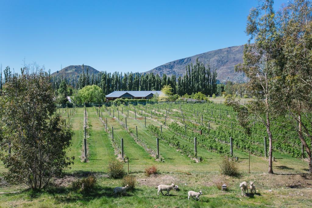 Wanaka Berry Farm And B&B Dış mekan fotoğraf