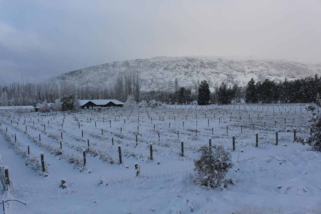 Wanaka Berry Farm And B&B Dış mekan fotoğraf